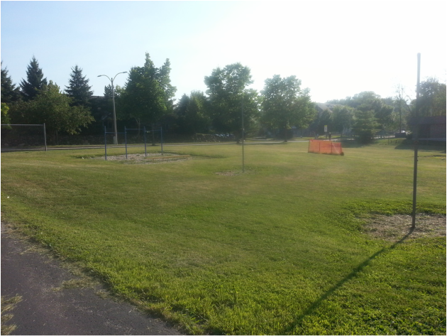 grassy lawn play space